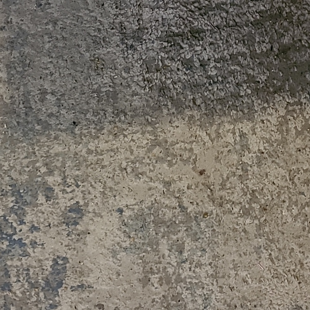 Carpet